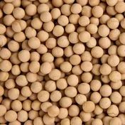 Field peas